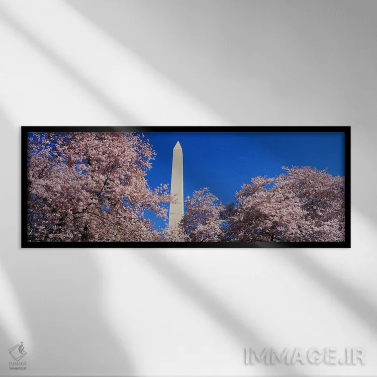 تابلو شکوفههای گیلاس در بنای واشنگتن اثر پانورامیک ایمجز (استودیو عکاسی عریض) - نمای قابدار مشکی