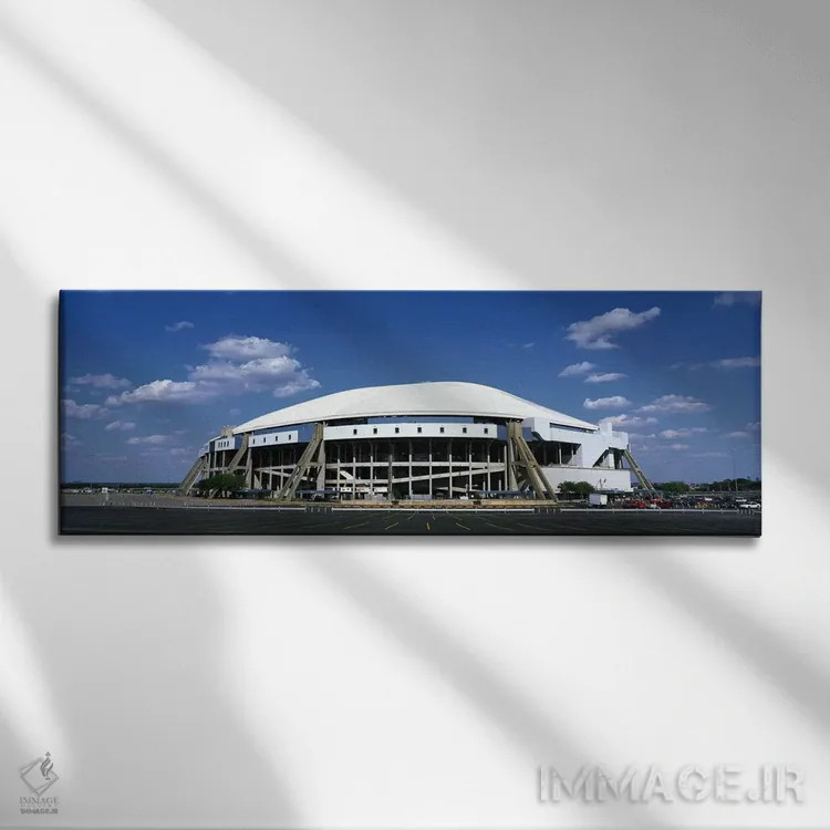 تابلو استادیوم تگزاس اثر پانورامیک ایمجز (استودیو عکاسی عریض) - نمای روبهرو روی دیوار
