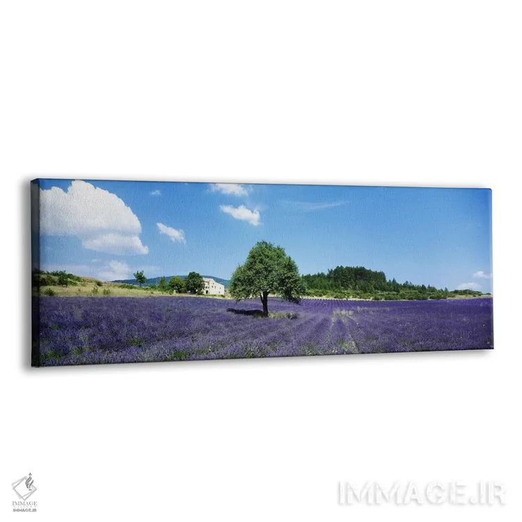 تابلو مزرعه اسطوخودوس، پروانس، فرانسه اثر پانورامیک ایمجز (استودیو عکاسی عریض) - نمای پرسپکتیو محصول