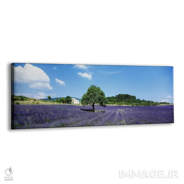 تابلو مزرعه اسطوخودوس، پروانس، فرانسه اثر پانورامیک ایمجز (استودیو عکاسی عریض) - نمای پرسپکتیو محصول