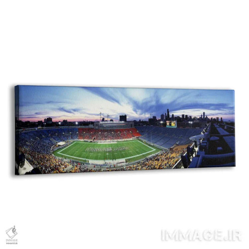 تابلو Illinois, USA,ورزشگاه سالجر فیلد، فوتبال، شیکاگو، ایلینوی، آمریکا اثر پانورامیک ایمجز (استودیو عکاسی عریض) - نمای پرسپکتیو محصول