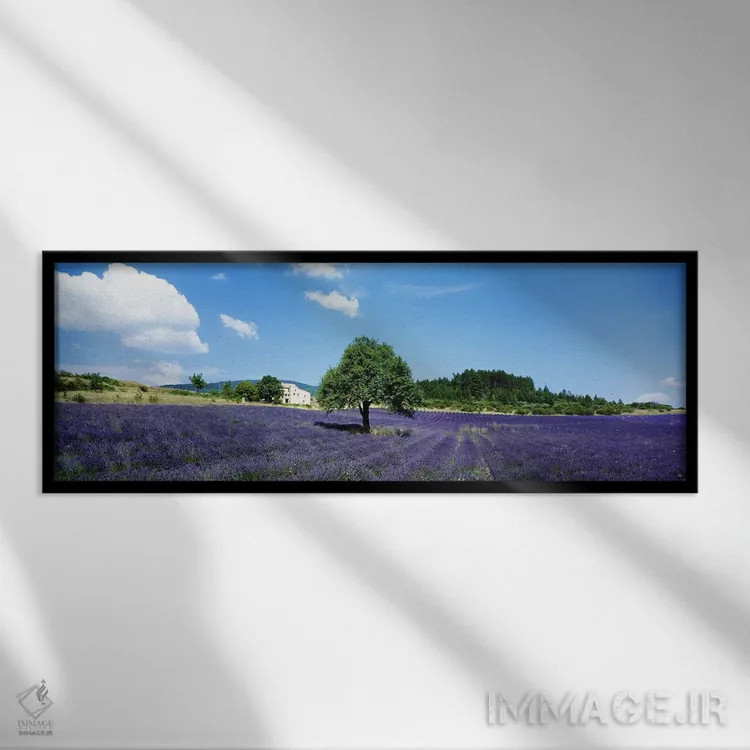 تابلو مزرعه اسطوخودوس، پروانس، فرانسه اثر پانورامیک ایمجز (استودیو عکاسی عریض) - نمای قابدار مشکی