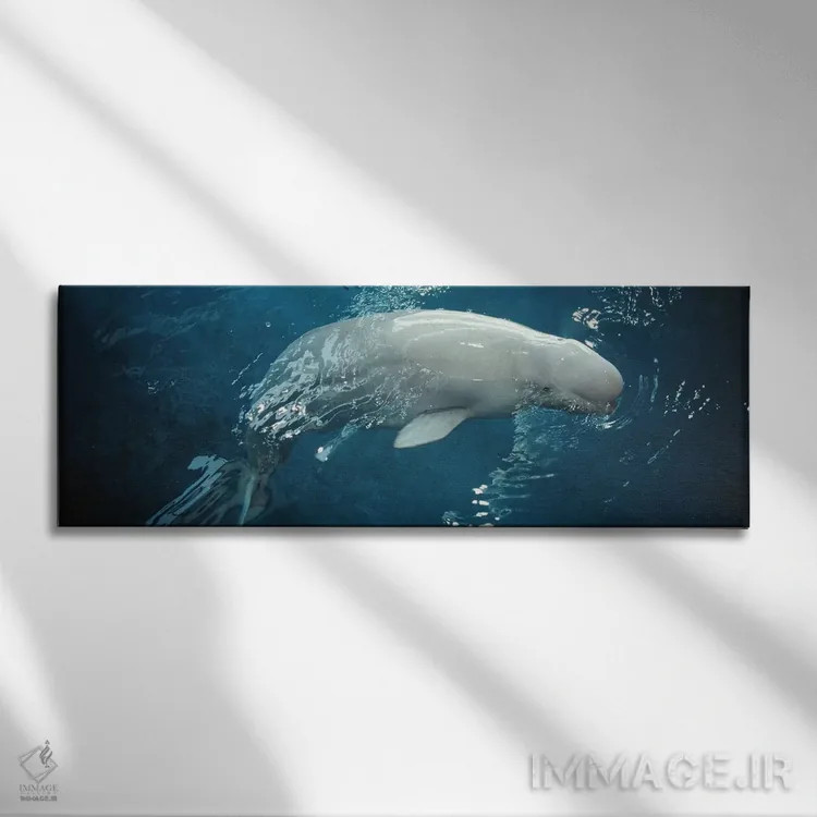 تابلو Chicago, Illinois, USA,نمای نزدیک از یک نهنگ بلوگا در آکواریوم شد، شیکاگو، ایلینوی، آمریکا اثر پانورامیک ایمجز (استودیو عکاسی عریض) - نمای روبهرو روی دیوار