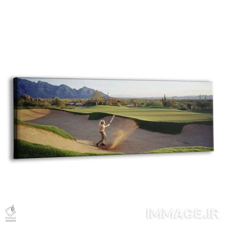 تابلو Tucson, Arizona, USA,نمای نیمرخ از مردی در حال بازی گلف در زمین گلف، توسان، آریزونا، آمریکا اثر پانورامیک ایمجز (استودیو عکاسی عریض) - نمای پرسپکتیو محصول