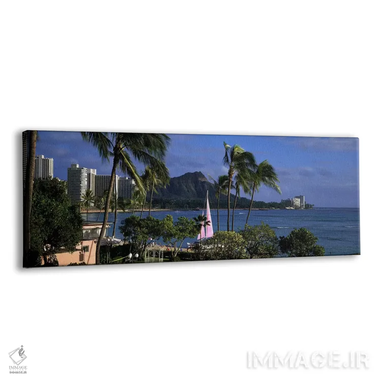 تابلو Diamond Head, Waikiki Beach, Oahu, Honolulu, Hawaii, USA,نخلها در ساحل، دایموند هد، ساحل وایکیکی، اوآهو، هونولولو، هاوایی، آمریکا اثر پانورامیک ایمجز (استودیو عکاسی عریض) - نمای پرسپکتیو محصول