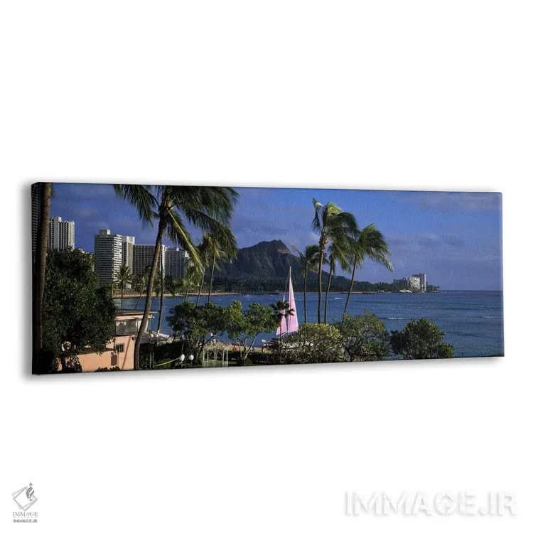 تابلو Diamond Head, Waikiki Beach, Oahu, Honolulu, Hawaii, USA,نخلها در ساحل، دایموند هد، ساحل وایکیکی، اوآهو، هونولولو، هاوایی، آمریکا اثر پانورامیک ایمجز (استودیو عکاسی عریض) - نمای پرسپکتیو محصول