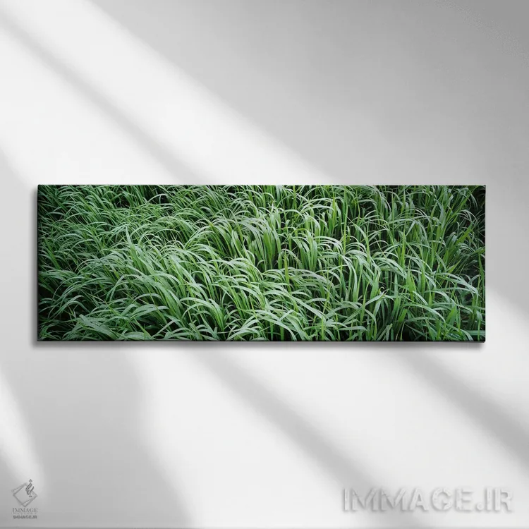 تابلو USA,نمای بالا از چمنزار، مونتانا، آمریکا اثر پانورامیک ایمجز (استودیو عکاسی عریض) - نمای روبهرو روی دیوار