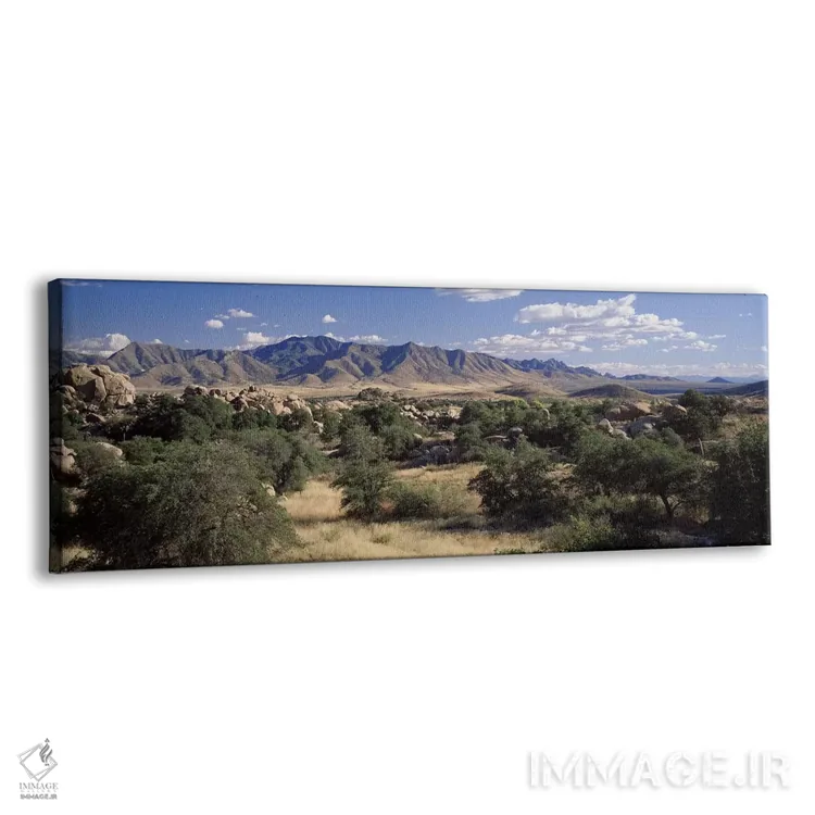 تابلو Texas Canyon, Coronado National Forest, Arizona, USA,کوههای دراگون، دره تگزاس، جنگل ملی کورونادو، آریزونا، آمریکا اثر پانورامیک ایمجز (استودیو عکاسی عریض) - نمای پرسپکتیو محصول
