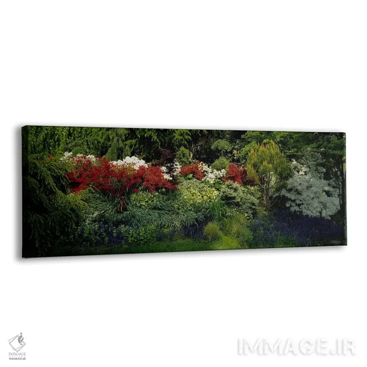 تابلو Baltimore, Maryland, USA,نمای زاویهبالا از گلها در باغ، بالتیمور، مریلند، آمریکا اثر پانورامیک ایمجز (استودیو عکاسی عریض) - نمای پرسپکتیو محصول