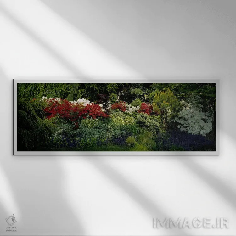 تابلو Baltimore, Maryland, USA,نمای زاویهبالا از گلها در باغ، بالتیمور، مریلند، آمریکا اثر پانورامیک ایمجز (استودیو عکاسی عریض) - نمای قابدار سفید
