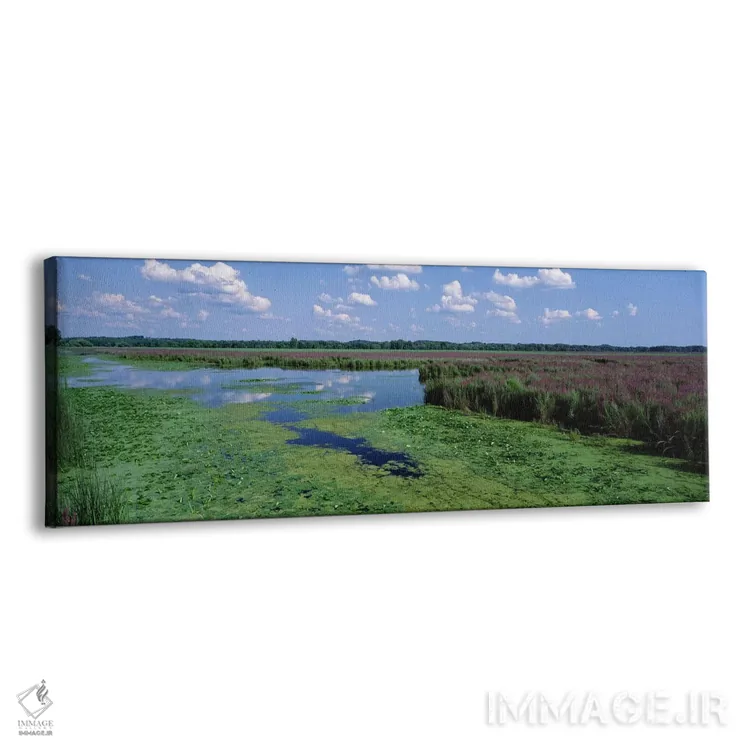 تابلو Montezuma National Wildlife Refuge, Seneca County, New York, USA,منظره تالاب، منطقه حفاظت‌شده حیات وحش مونتزوما، شهرستان سنِکا، نیویورک، آمریکا اثر پانورامیک ایمجز (استودیو عکاسی عریض) - نمای پرسپکتیو محصول