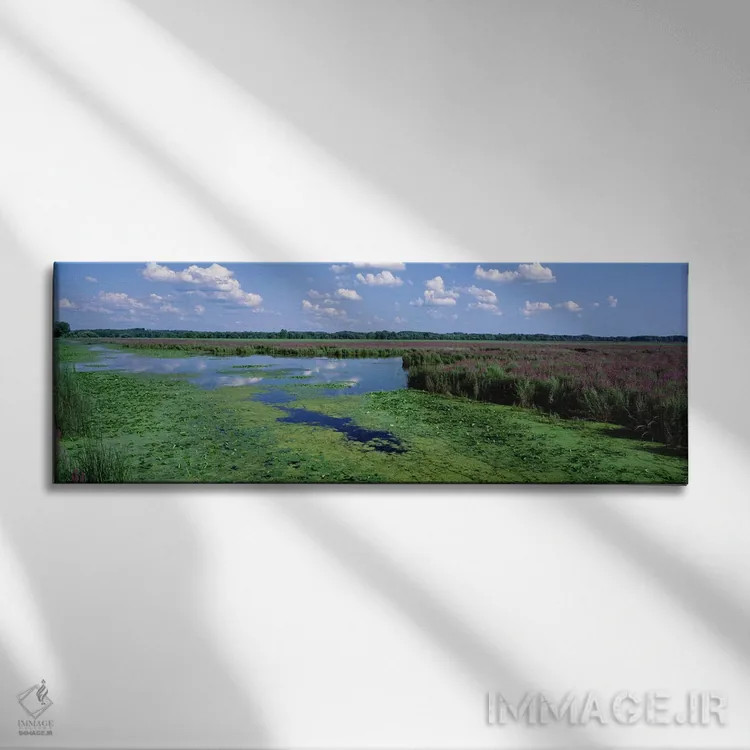 تابلو Montezuma National Wildlife Refuge, Seneca County, New York, USA,منظره تالاب، منطقه حفاظتشده حیات وحش مونتزوما، شهرستان سنِکا، نیویورک، آمریکا اثر پانورامیک ایمجز (استودیو عکاسی عریض) - نمای روبهرو روی دیوار