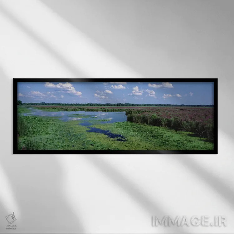 تابلو Montezuma National Wildlife Refuge, Seneca County, New York, USA,منظره تالاب، منطقه حفاظتشده حیات وحش مونتزوما، شهرستان سنِکا، نیویورک، آمریکا اثر پانورامیک ایمجز (استودیو عکاسی عریض) - نمای قابدار مشکی