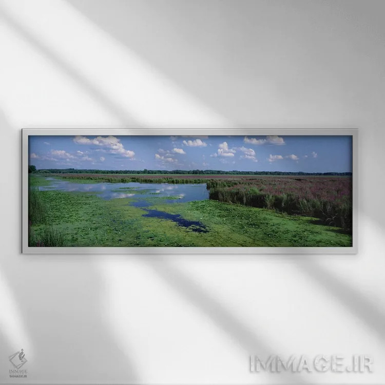 تابلو Montezuma National Wildlife Refuge, Seneca County, New York, USA,منظره تالاب، منطقه حفاظتشده حیات وحش مونتزوما، شهرستان سنِکا، نیویورک، آمریکا اثر پانورامیک ایمجز (استودیو عکاسی عریض) - نمای قابدار سفید