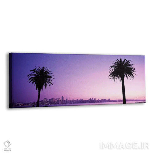 تابلو California, USA #2,سانفرانسیسکو، کالیفرنیا، آمریکا (شماره ۲) اثر پانورامیک ایمجز (استودیو عکاسی عریض) - نمای پرسپکتیو محصول
