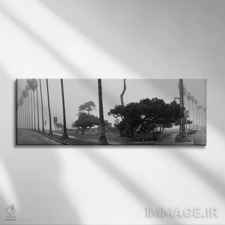تابلو San Diego, California,درختان نخل و مه، سندیهگو، کالیفرنیا اثر پانورامیک ایمجز (استودیو عکاسی عریض) - نمای روبهرو روی دیوار