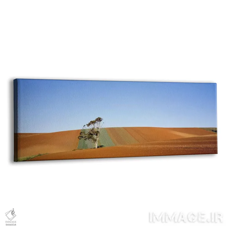 تابلو استرالیا اثر پانورامیک ایمجز (استودیو عکاسی عریض) - نمای پرسپکتیو محصول