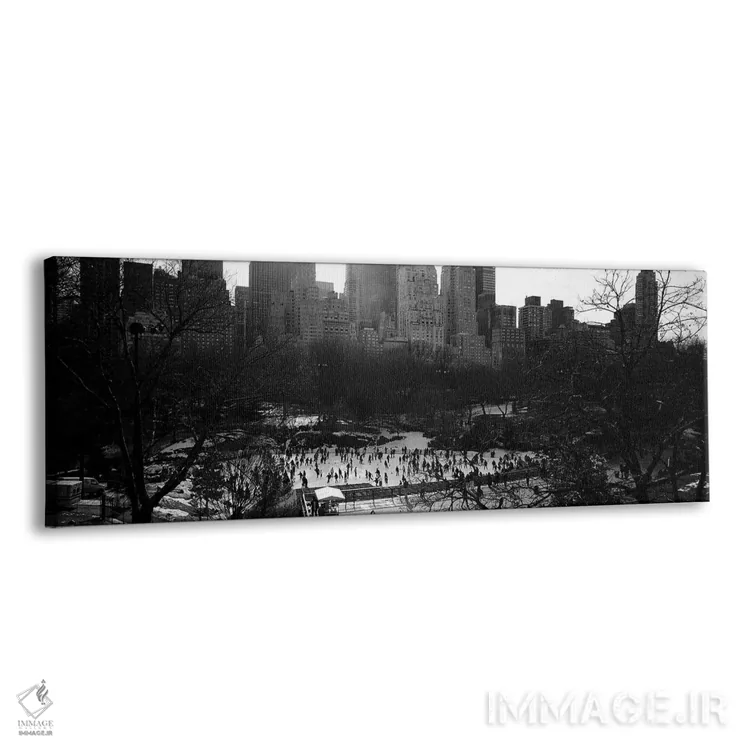 تابلو Central Park, Manhattan, New York City, New York, USA,پیست ولمن، سنترال پارک، منهتن، نیویورک، آمریکا اثر پانورامیک ایمجز (استودیو عکاسی عریض) - نمای پرسپکتیو محصول