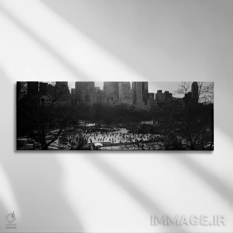تابلو Central Park, Manhattan, New York City, New York, USA,پیست ولمن، سنترال پارک، منهتن، نیویورک، آمریکا اثر پانورامیک ایمجز (استودیو عکاسی عریض) - نمای روبهرو روی دیوار