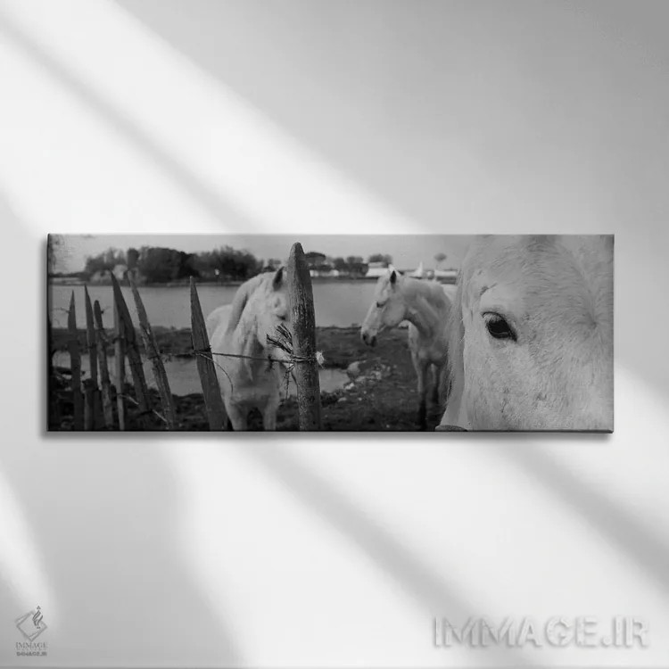 تابلو Camargue, France,اسبها، کامارگ، فرانسه اثر پانورامیک ایمجز (استودیو عکاسی عریض) - نمای روبهرو روی دیوار