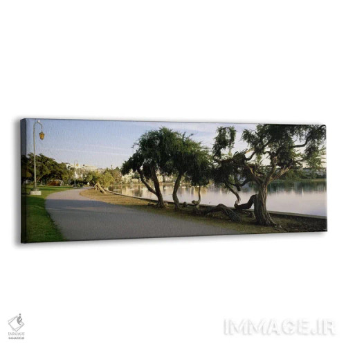 تابلو California, Oakland, Path,آمریکا، کالیفرنیا، اوکلند، مسیر اثر پانورامیک ایمجز (استودیو عکاسی عریض) - نمای پرسپکتیو محصول