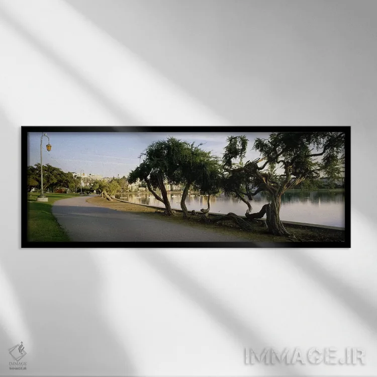 تابلو California, Oakland, Path,آمریکا، کالیفرنیا، اوکلند، مسیر اثر پانورامیک ایمجز (استودیو عکاسی عریض) - نمای قابدار مشکی