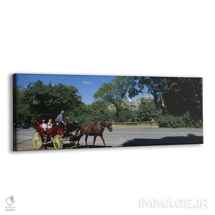 تابلو New York City, New York State, USA,گردشگران سوار بر کالسکه اسبی، نیویورک سیتی، ایالت نیویورک، آمریکا اثر پانورامیک ایمجز (استودیو عکاسی عریض) - نمای پرسپکتیو محصول