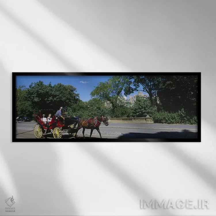 تابلو New York City, New York State, USA,گردشگران سوار بر کالسکه اسبی، نیویورک سیتی، ایالت نیویورک، آمریکا اثر پانورامیک ایمجز (استودیو عکاسی عریض) - نمای قابدار مشکی