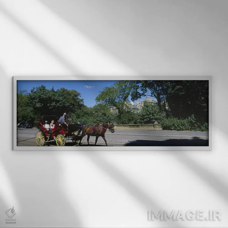 تابلو New York City, New York State, USA,گردشگران سوار بر کالسکه اسبی، نیویورک سیتی، ایالت نیویورک، آمریکا اثر پانورامیک ایمجز (استودیو عکاسی عریض) - نمای قابدار سفید