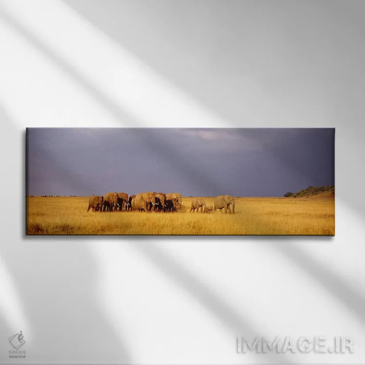 تابلو Maasai Mara Kenya,گله فیلها، ماسایی مارا، کنیا اثر پانورامیک ایمجز (استودیو عکاسی عریض) - نمای روبهرو روی دیوار