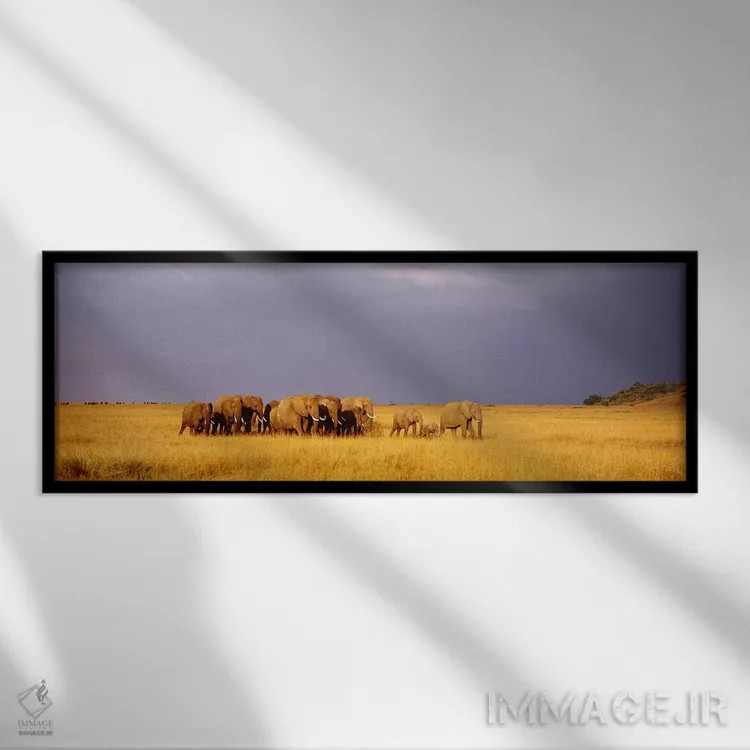 تابلو Maasai Mara Kenya,گله فیلها، ماسایی مارا، کنیا اثر پانورامیک ایمجز (استودیو عکاسی عریض) - نمای قابدار مشکی