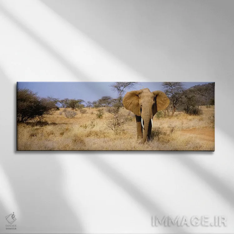 تابلو Samburu National Reserve, Kenya, Africa,فیل تنها، ذخیرهگاه ملی سامبورو، کنیا، آفریقا اثر پانورامیک ایمجز (استودیو عکاسی عریض) - نمای روبهرو روی دیوار