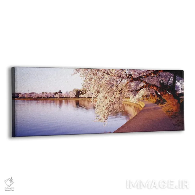 تابلو Washington DC, District Of Columbia, USA,حوضچه جزر و مد، واشنگتن دیسی، ایالات متحده اثر پانورامیک ایمجز (استودیو عکاسی عریض) - نمای پرسپکتیو محصول