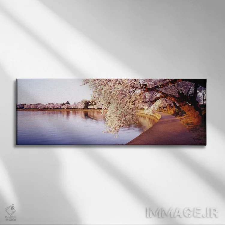 تابلو Washington DC, District Of Columbia, USA,حوضچه جزر و مد، واشنگتن دیسی، ایالات متحده اثر پانورامیک ایمجز (استودیو عکاسی عریض) - نمای روبهرو روی دیوار