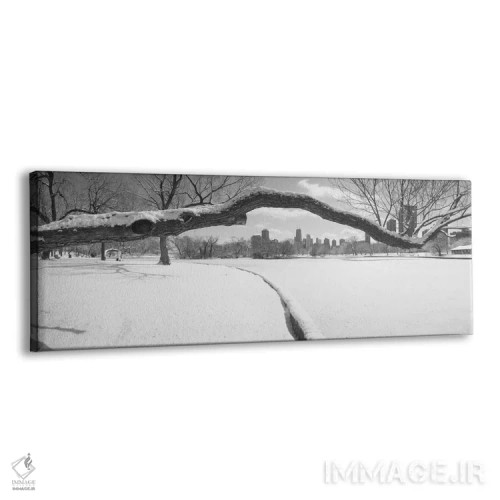 تابلو Lincoln Park, Chicago, Illinois, USA,درختان بیبرگ در پارک، پارک لینکولن، شیکاگو، ایلینوی، آمریکا اثر پانورامیک ایمجز (استودیو عکاسی عریض) - نمای پرسپکتیو محصول