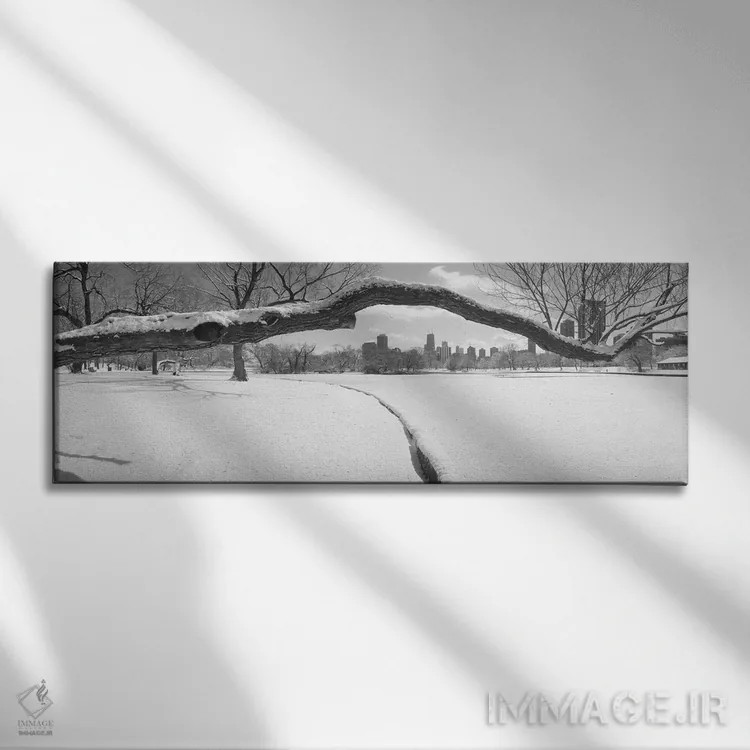تابلو Lincoln Park, Chicago, Illinois, USA,درختان بیبرگ در پارک، پارک لینکولن، شیکاگو، ایلینوی، آمریکا اثر پانورامیک ایمجز (استودیو عکاسی عریض) - نمای روبهرو روی دیوار