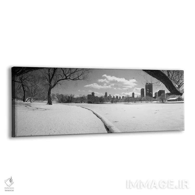 تابلو Lincoln Park, Chicago, Illinois, USA,ساختمانها در شهر، پارک لینکولن، شیکاگو، ایلینوی، آمریکا اثر پانورامیک ایمجز (استودیو عکاسی عریض) - نمای پرسپکتیو محصول