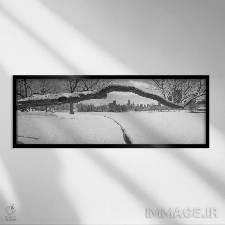 تابلو Lincoln Park, Chicago, Illinois, USA,درختان بیبرگ در پارک، پارک لینکولن، شیکاگو، ایلینوی، آمریکا اثر پانورامیک ایمجز (استودیو عکاسی عریض) - نمای قابدار مشکی