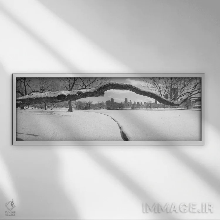 تابلو Lincoln Park, Chicago, Illinois, USA,درختان بیبرگ در پارک، پارک لینکولن، شیکاگو، ایلینوی، آمریکا اثر پانورامیک ایمجز (استودیو عکاسی عریض) - نمای قابدار سفید