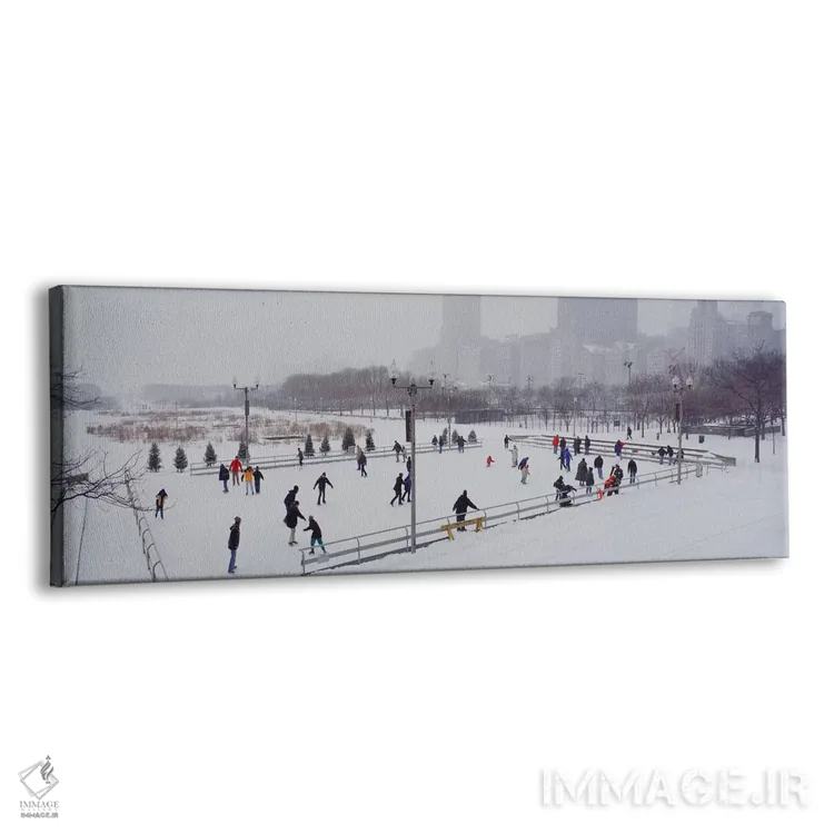 تابلو Bicentennial Park, Chicago, Cook County, Illinois, USA,گروهی از افراد در حال اسکیت روی یخ در پارک، بایسنتنیال پارک، شیکاگو، ایلینوی، آمریکا اثر پانورامیک ایمجز (استودیو عکاسی عریض) - نمای پرسپکتیو محصول