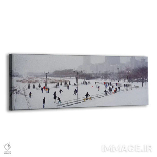 تابلو Bicentennial Park, Chicago, Cook County, Illinois, USA,گروهی از افراد در حال اسکیت روی یخ در پارک، بایسنتنیال پارک، شیکاگو، ایلینوی، آمریکا اثر پانورامیک ایمجز (استودیو عکاسی عریض) - نمای پرسپکتیو محصول