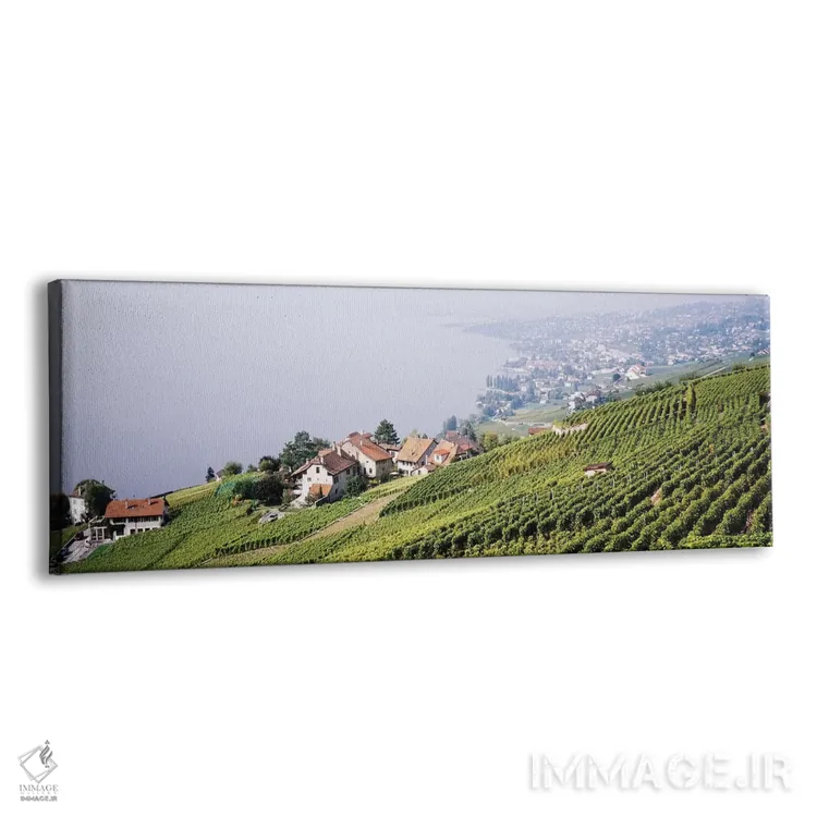 تابلو Lausanne, Vaud, Switzerland,باغ‌های تاک شیب‌دار در دامنه تپه، لوزان، کانتون وو، سوئیس اثر پانورامیک ایمجز (استودیو عکاسی عریض) - نمای پرسپکتیو محصول