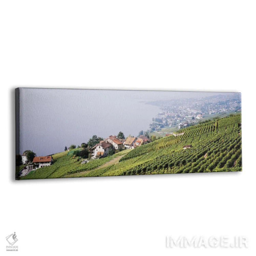 تابلو Lausanne, Vaud, Switzerland,باغهای تاک شیبدار در دامنه تپه، لوزان، کانتون وو، سوئیس اثر پانورامیک ایمجز (استودیو عکاسی عریض) - نمای پرسپکتیو محصول