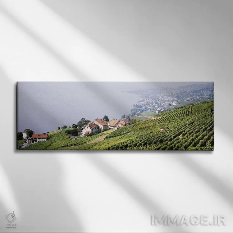تابلو Lausanne, Vaud, Switzerland,باغهای تاک شیبدار در دامنه تپه، لوزان، کانتون وو، سوئیس اثر پانورامیک ایمجز (استودیو عکاسی عریض) - نمای روبهرو روی دیوار