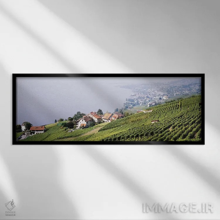 تابلو Lausanne, Vaud, Switzerland,باغهای تاک شیبدار در دامنه تپه، لوزان، کانتون وو، سوئیس اثر پانورامیک ایمجز (استودیو عکاسی عریض) - نمای قابدار مشکی
