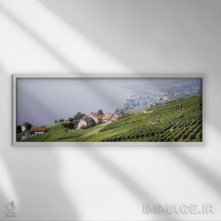 تابلو Lausanne, Vaud, Switzerland,باغهای تاک شیبدار در دامنه تپه، لوزان، کانتون وو، سوئیس اثر پانورامیک ایمجز (استودیو عکاسی عریض) - نمای قابدار سفید