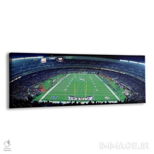تابلو تیم فوتبال فیلادلفیا ایگلز، ورزشگاه وتِرِنز، فیلادلفیا، پنسیلوانیا (فوتبال آمریکایی) اثر پانورامیک ایمجز (استودیو عکاسی عریض) - نمای پرسپکتیو محصول
