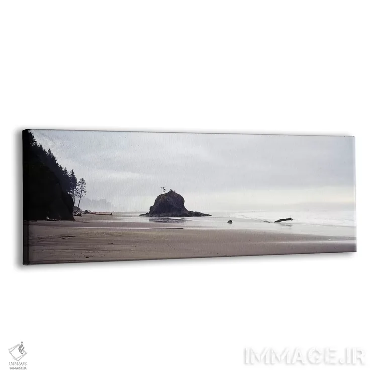 تابلو ساحل لا پوش، پارک ملی المپیک، واشنگتن، آمریکا اثر پانورامیک ایمجز (استودیو عکاسی عریض) - نمای پرسپکتیو محصول