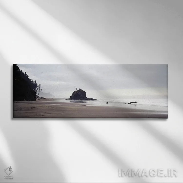 تابلو ساحل لا پوش، پارک ملی المپیک، واشنگتن، آمریکا اثر پانورامیک ایمجز (استودیو عکاسی عریض) - نمای روبهرو روی دیوار