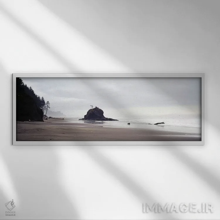 تابلو ساحل لا پوش، پارک ملی المپیک، واشنگتن، آمریکا اثر پانورامیک ایمجز (استودیو عکاسی عریض) - نمای قابدار سفید